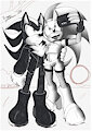 TF!Sonic and Shadow - Selfie