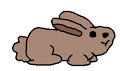 Pinky Malinky Animals: Rabbit (Pinky Malinky)