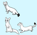 White critters