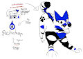 Raindrop the wolf