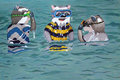 Three Scuba