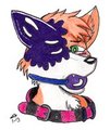 Latex Infection Fox