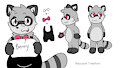 Raccoon Boy Ref! by BuiBuinnet