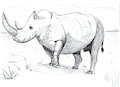 Inktober 2024 - 21. Rhinoceros