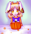 Pumpkin Time