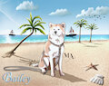 Bailey on a Sunny Beach - Commissioned Pet.