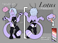 Lotus Reference Sheet