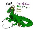 Sketchy Xizil