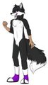 Darth the Fox by RollerCoasterViper59