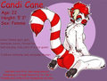 Candi Cane