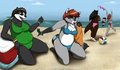 Beach Bums 2!