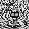 [ALBUM RELEASE] Harsh Noise for Cats II
