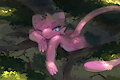 Tree-Cat Is Watching You Laze