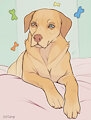 Dreaming Labrador