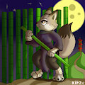 Night fox