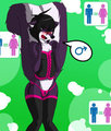 Skunk problems