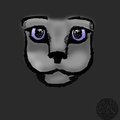 Cute Face Kitty