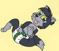 [KIRI] Poochyena Pup