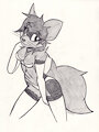 Vixen Corps 16