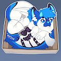 [C] Rune