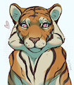 Little Tiger