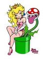Princess Peach - Let Them Eat Cheesecake