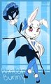 U$10 bunny Adopt