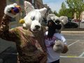 MORPHICON 2013