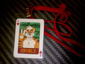 Growly BLFC Badge