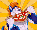 Macro pizza (2/3)