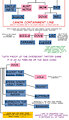 Fallout Pony Family Tree