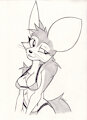 Fennec Bikini