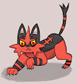 Torracat