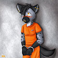 cell search