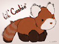 Lil' Cashie