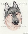Headshot Sketch #1 by Carowyn  by Gizgiz
