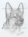 Headshot Sketch #2 by Carowyn 