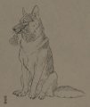 Sketch 1 by Astray 