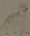 Sketch 2 by Astray 