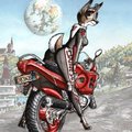 Une bien belle mécanique by AmiralAesir