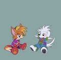 Commission - Tamerkoh