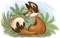 foxy