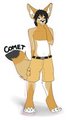 ( Com ) CometFennec (2)