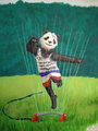 Taking A Balletic Leap Through The Sprinkler
