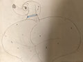 Perdita