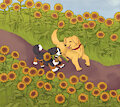 Sunflower Pathway