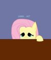 Fluttershy 003 Questions: 0
