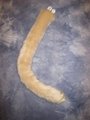 Beige Kitty Tail