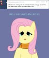 Fluttershy 003 Questions: 1