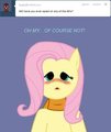 Fluttershy 003 Questions: 2